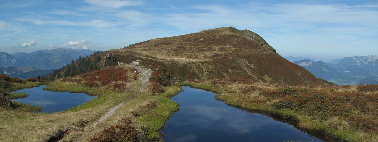 Feldalphorn, © Wildschönau Tourismus