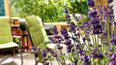 Lavendel, © Angstingerhof