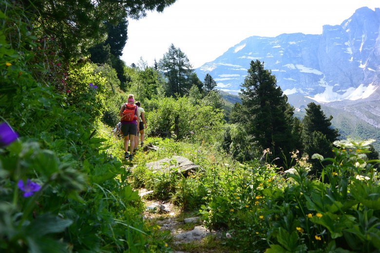 Rechts im Hintergrund ist der „Sagzahn“ mit dem „schiefen Riss“ zu erkennen, den Hias Rebitsch erstmals im Sommer 1947 durchstiegen hat. David Lama, Hansjörg Auer und Peter Ortner begingen dieselbe Route im Jahr 2013 erstmals im Winter auf Schnee und Eis.