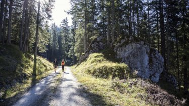 Wandern im Gaistal, © Tirol Werbung/Dominik Gigler