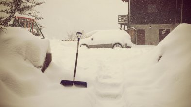 Genug Schnee für alle am Hof