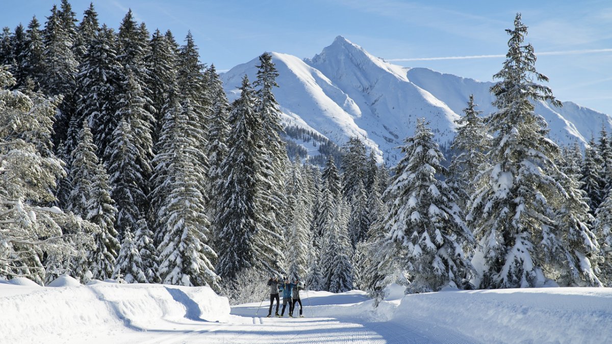 Langlaufen in der Region Seefeld, © Tirol Werbung /Johannes Aitzetmüller