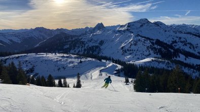 Skiwelt