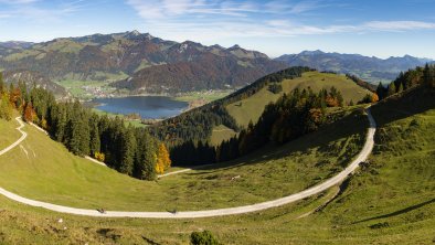 Kaiserwinkl-Urlaub-Landschaft-Walchsee-Herbst-Herb