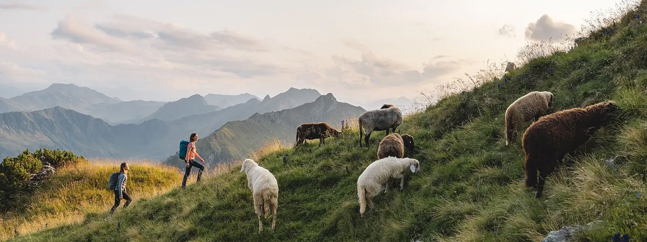 Die 7. IVV-Wandereuropiade kommt 2024 nach Waidring in Tirol, © Kitzbüheler Alpen - Pillerseetal