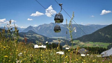 Sommerbetrieb Gondel Wiedersbergerhorn, © Alpbachtal Seenland