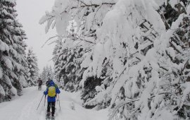 Schneeschuhwandern bei Hochfilzen im Pillerseetal. (Foto: Tirol Werbung)