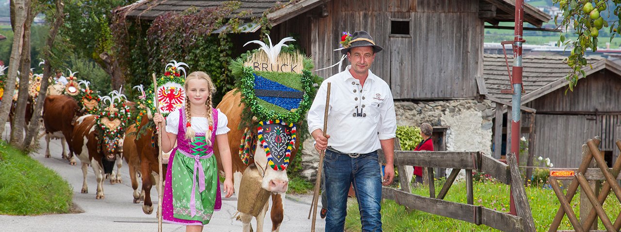 "Aufbischt": Festlich geschmückt kehren die Rinder von den Almen in der Ersten Ferienregion im Zillertal heim, © Erste Ferienregion im Zillertal / Walter Kraiger