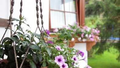 Blumen auf Balkon