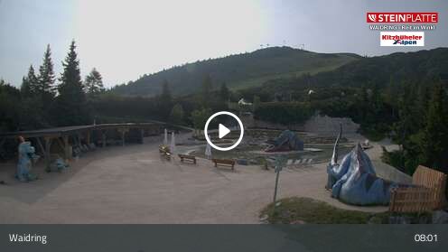 Webcam Triassic Park
