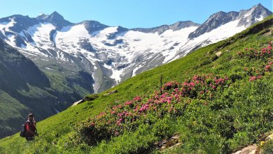 Am Weg zur Wechselspitze, © Günther Hauser