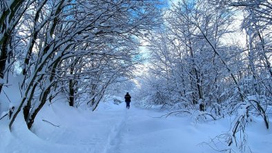 https://images.seekda.net/AT_UAB7-07-12-01/winter.jpg