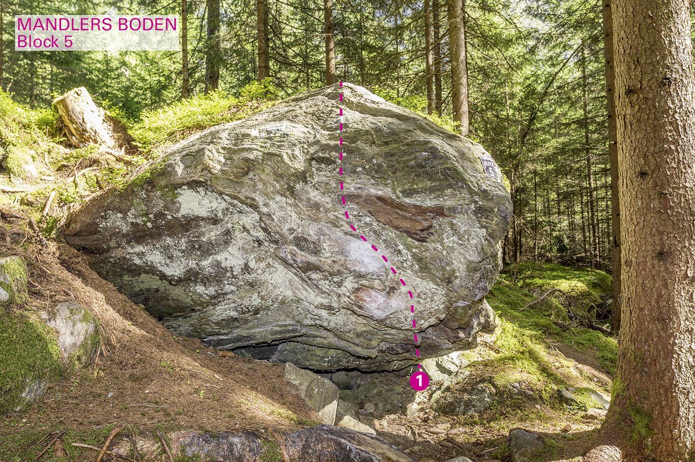 Topographie