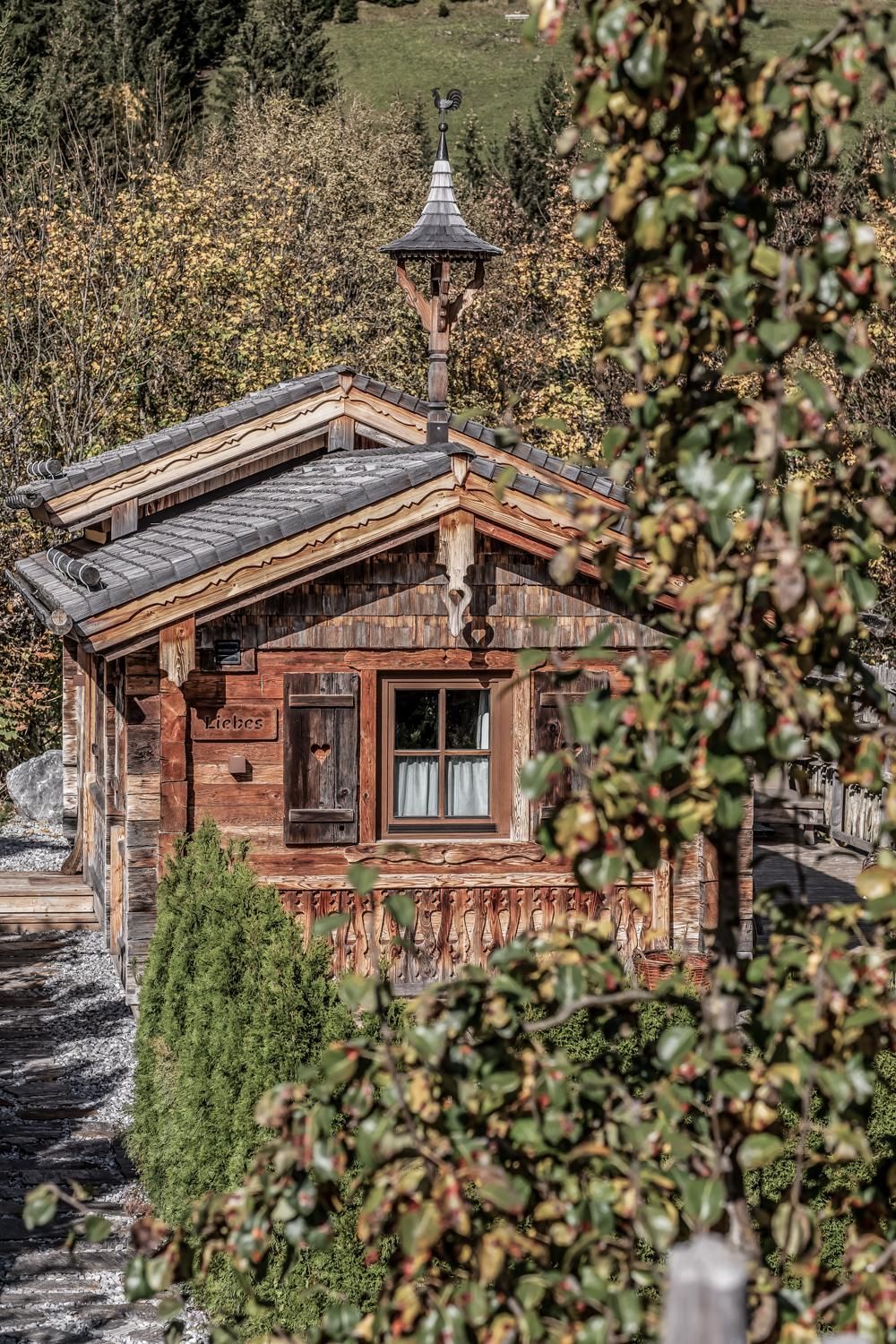 Eine gemütliches Chalet umgeben von Bäumen und grünen Sträuchern. Im Hintergrund sind sanfte Hügel zu sehen.