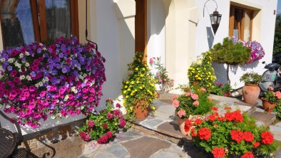 Haus Alpenblick Blumen