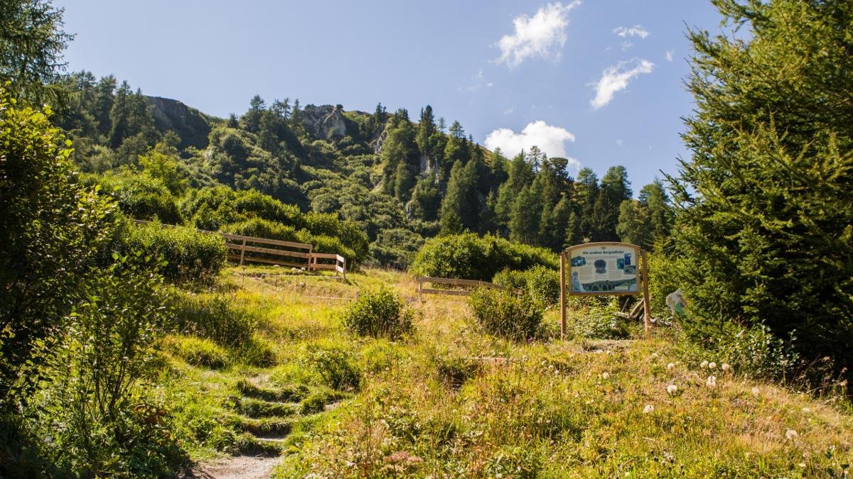 Die Fisser Gonde besteht aus großen weißlichen Gesteinsbrocken (Ladiser Quarzit). Im Naturdenkmal schaut es aus, als ob ein grantiger Riese mit seinen gewaltigen Spielklötzen um sich geworfen hätte., © Andreas Kirschner