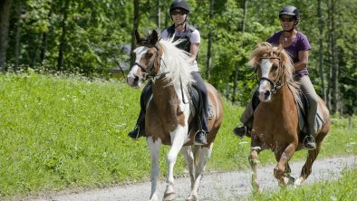 Reiten am Kramerhof