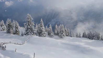 Winter am Berg © Laurin Moser