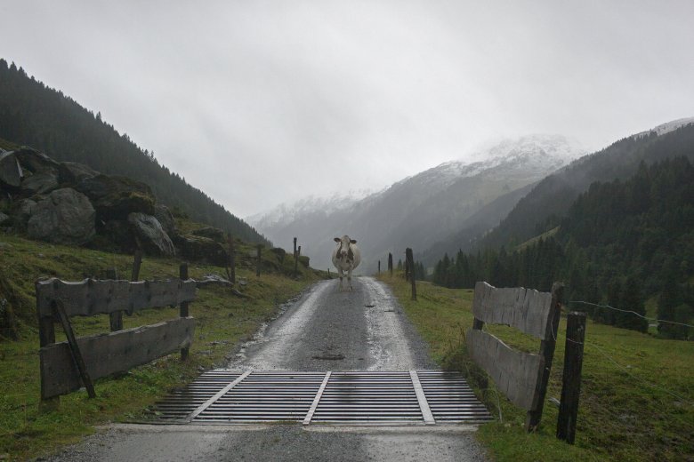 Ein Hauch vom Wilden Westen im Brixental.