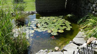 Ferienwohnung Hotter Neu Fleck Bad Häring Teich, © MH 2017