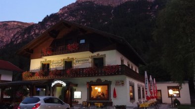 Alpenrose bei Abenddämmerung