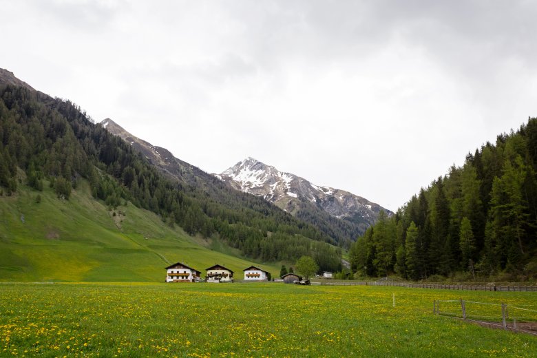 Thumeserhof und Nachbarh&ouml;fe.
, © Lisa Hörterer