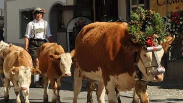 Wenn die Tiere beim Almabtrieb von der Schlickeralm und der Fronebenalm im Tal ankommen, können die Besucher sie in Fulpmes bestaunen., © TVB Stubai Tirol