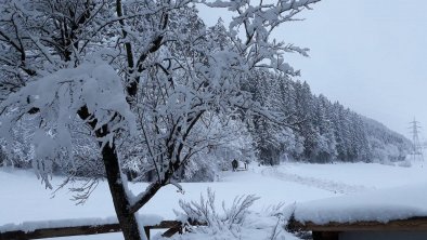 Winter Richtung Golfplatz