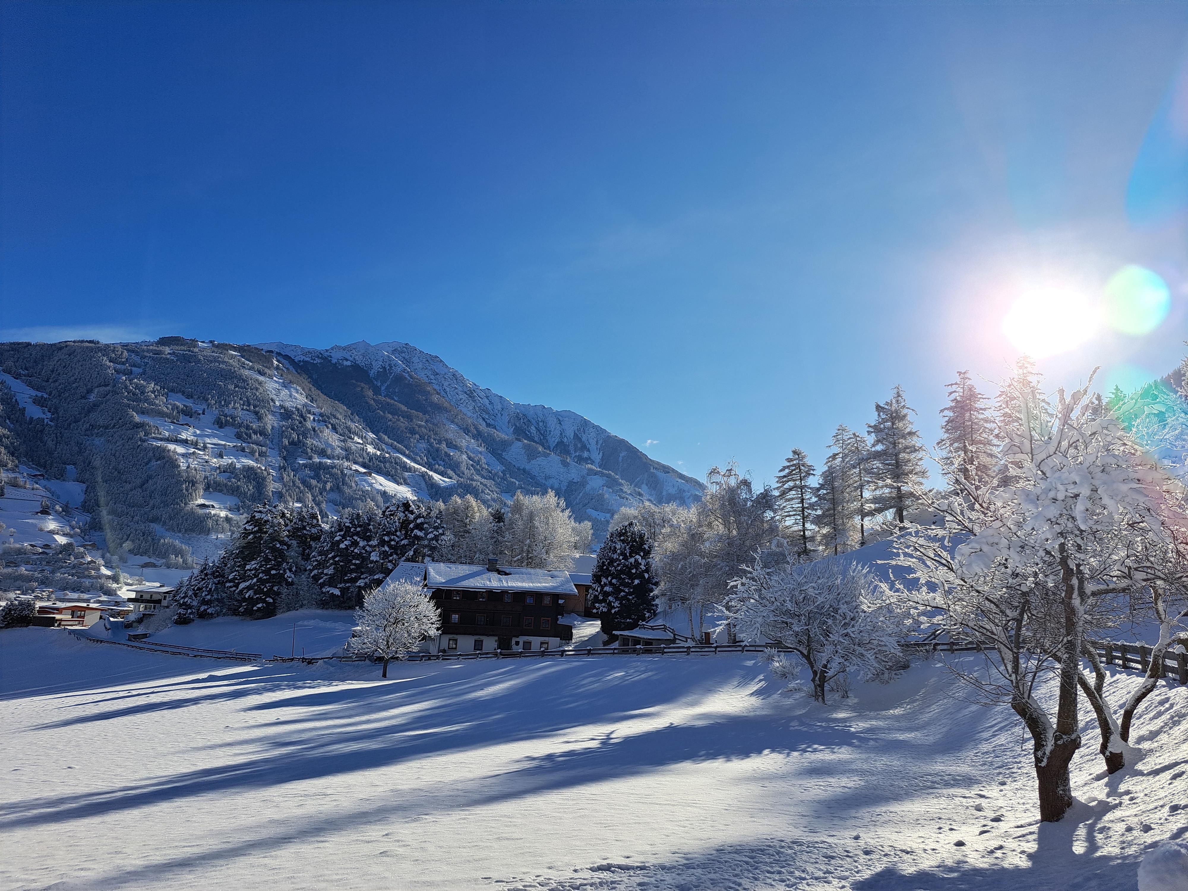 Eine winterliche Landschaft mit schneebedeckten Feldern und gefrorenen Bäumen. Im Hintergrund erheben sich majestätische Berge unter einem klaren, blauen Himmel.