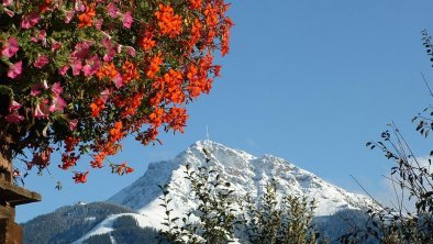 Herbst, © Leo Schwenter