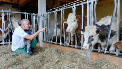 Tiere am Bauernhof