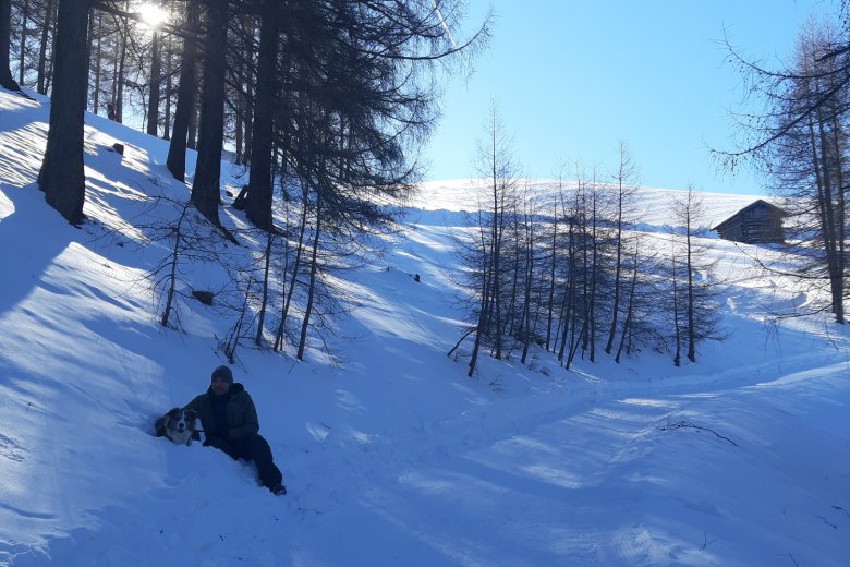 Mit Herrchen Peter ist er am liebsten in Tirols sch&ouml;ner Natur unterwegs., © privat