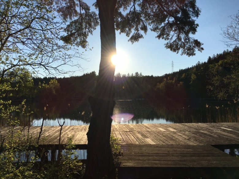 Der Lanser See ist als Moorsee reich an Gelbstoffen und eigentlich braun. Foto: Daniel Rohmberg