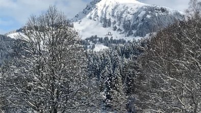 Landhaus_Barbara_Kitzbühel_IMG_8240