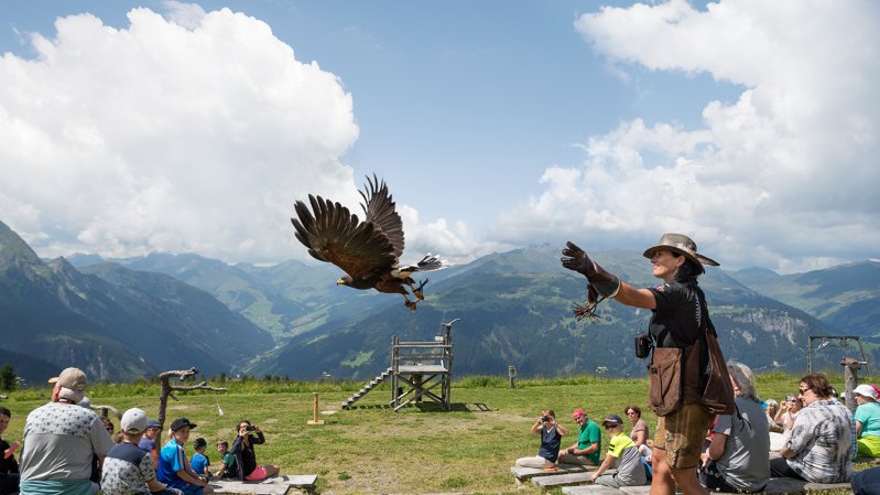 AdlerBühne Mayrhofen, © Mayrhofner Bergbahnen