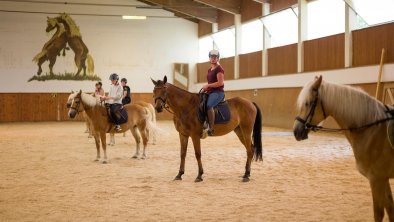 Reitunterricht für alle Stufen