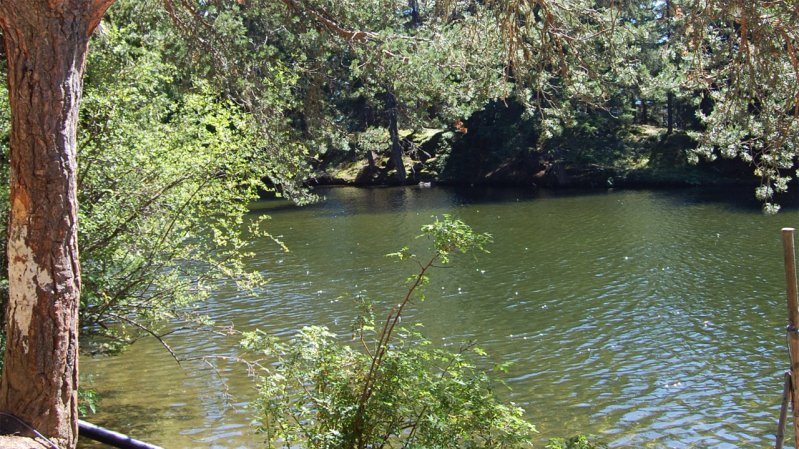 Waldweiher Fliess, © Naturpark Kaunergrat