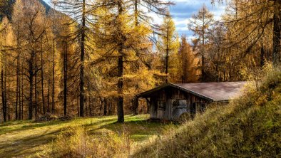 Herbst im Wald in Scharnitz - (c) Olympiaregion Se, © Region Seefeld