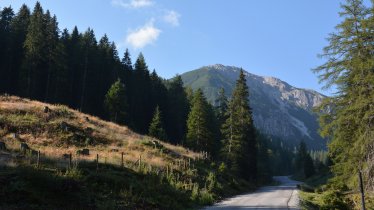 Mountainbiken im Gschnitztal, © Tirol Werbung