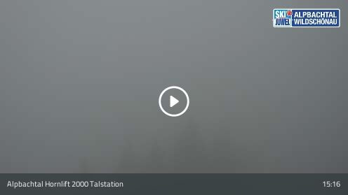 Webcam Hornlift 2000 Talstation