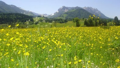 Blick auf den Zahmen Kaiser