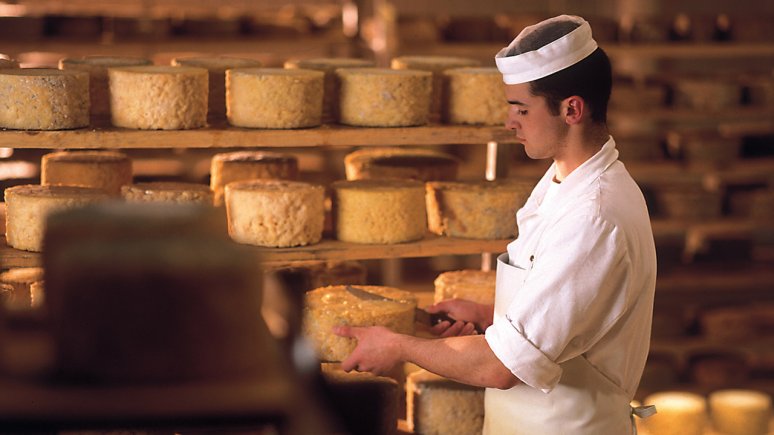 Handgepflegter Käse, © ErlebnisSennerei Zillertal