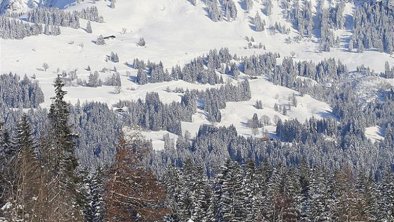 Im Winter mit Blick auf das Horn 1