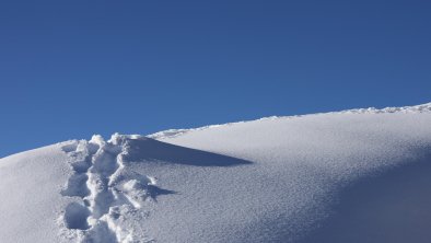 06-spuren-im-schnee