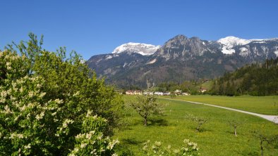 Freier Blick zum Sonnwendjoch, © Leo Meixner