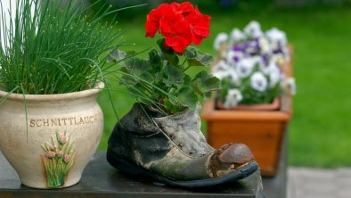 Blumenschmuck ums Haus