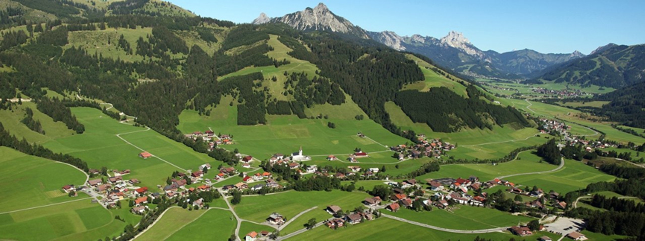 Schattwald im Sommer, © Tannheimer Tal