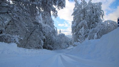 Winterbild mit Langlaufloipe, © Simone