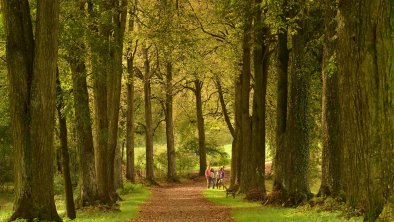 Matzenpark im Herbst, © Alpbachtal Tourismus / Bernhard Berger