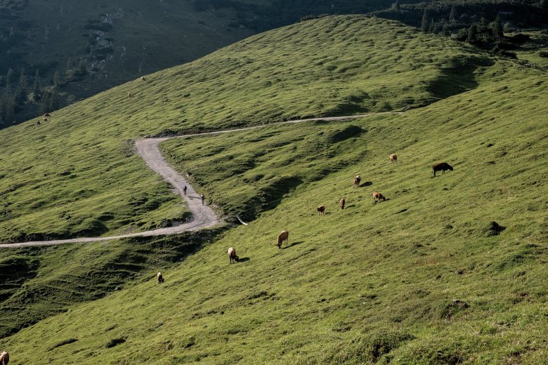             Steinig und steil: Der Weg zum Plumsjochim Karwendelgebirge.Gravelbikes fühlensich hier wohl.
          